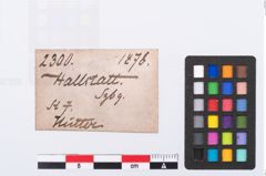 Etikett zu Glasperle (NHMW-PRAE-002300)